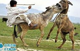 红桃视频免费版：探索最新免费资源与应用下载趋势