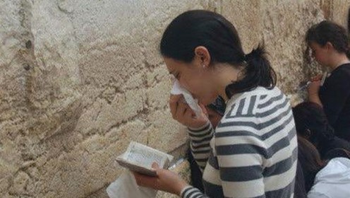 探索小🐔🐔伸进🈲18网站最新版下载：安全与趣味的平衡