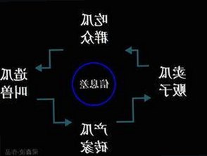 黄视频免费版：探索最新的免费资源与相关软件趋势