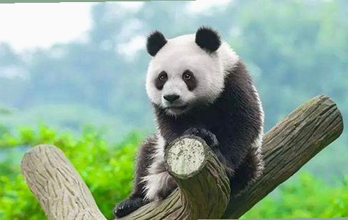 关于91🍆🍑🔞❌❌❌一起草wwwcom17的最新动态与行业影响