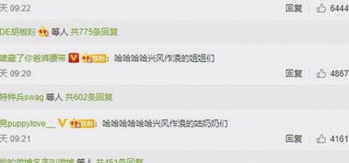 樱花视频官方版正版下载：掌握最新内容与资源指南