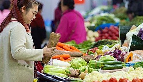 樱花视频官方版正版下载：掌握最新内容与资源指南