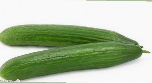 深入了解香蕉视频免费版的多样资源与安全保障