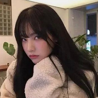 探索www91官方版下载及其相关娱乐资源的最新动态