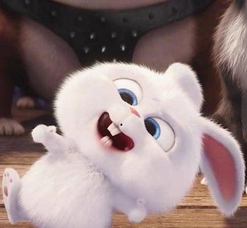 解读www.199麻豆官方版：明星隐私曝光与行业变化