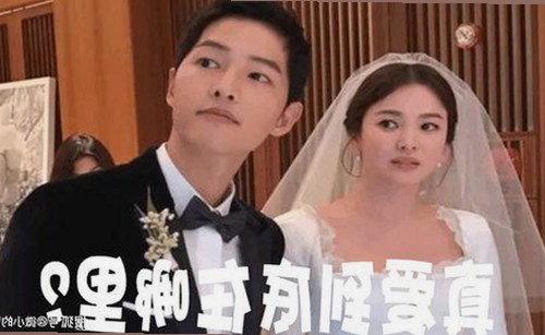 黄色91官方免费版：从争议到关注的全方位解读