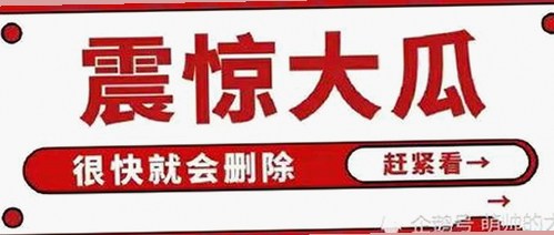 关于www.91色😍萝网站免费官方版的最新动态与资源介绍