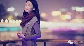 最新17c在线观看免费版下载，满足你的观看需求