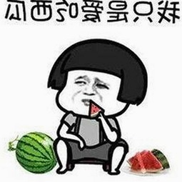 从“91免费免费版官方版”到多元选择：数字娱乐的变迁