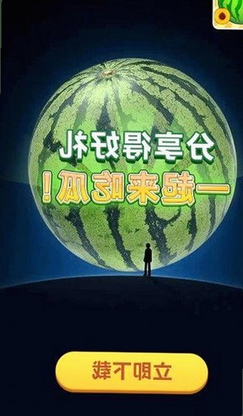 最新动态：茄子视频官方版引领内容新潮流