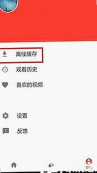 107·c13起草视频官方版：全面解析与现状概览