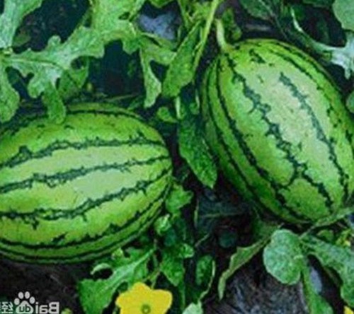 高清乱码🔞❌♋毛片官方版：娱乐圈最新动态与资源全解析