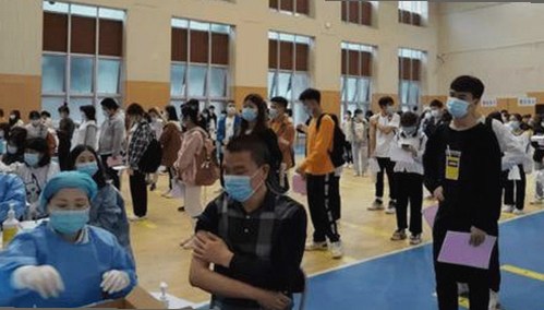黑料 官网免费官方版：揭秘娱乐圈内幕与最新动态