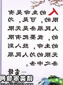 91网站免费版官方版：最新稳定版介绍与趋势分析