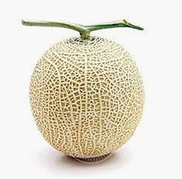 探索《17c.一起草🌿在线观看免费官方版下载》的最新动态与相关话题