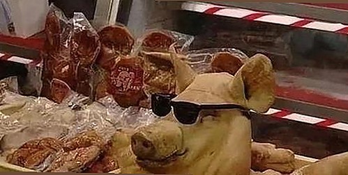 白城市用户热议高清乱码🔞❌♋免费17c免费版的最新动态