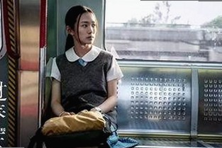 探秘：91网站官方版下载免费版及其相关软件的最新动态