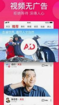 如何安全高效地进行看片安装包下载与资源获取指南