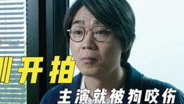 全面解析91网站免费版的现状与优势