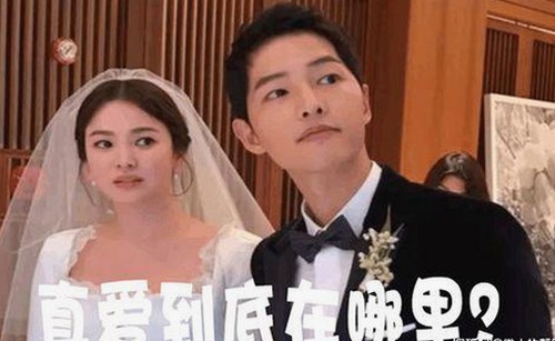 全面解析：免费黄色官方版免费版的最新发展与实际应用