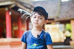 茄子视频最新动态与下载安装指南