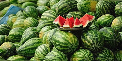 日批官方版下载带来全新体验，探索影视资源的多样性