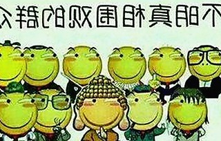 www.384888.com网站历史记录查询：最新动态与实用指南