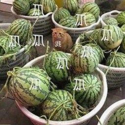 探索已满十八岁电视剧完整版的内容与观看渠道