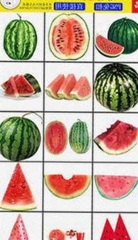 爱液官方网站最新版下载：最新资源与安全保障解析