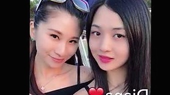 淄博市用户热议：如何安全快速下载 jm天堂安装包下载