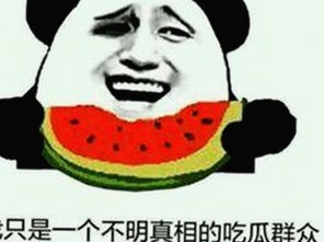 全面解析：91 一起草wwwcom91官方版的现状与未来