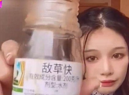轻松获取91下载免费版下载，畅享多样内容体验