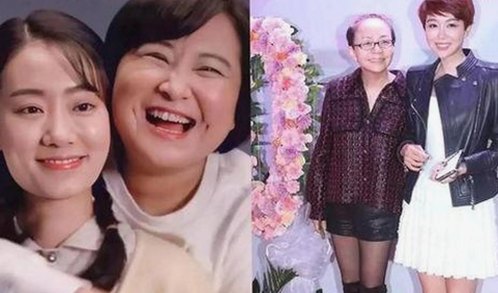 桃花视频官方版免费版：畅享高清动漫与在线播放体验
