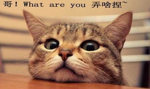 关于91🍆🍑🔞❌❌❌一起草wwwcom91安装包下载的最新动态