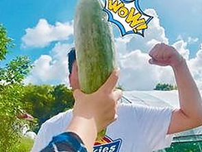 揭秘：91禁🍆🍑🔞❌❌❌看片17cco官方版免费版的现状与争议