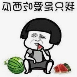 掌握麻豆视频在线观看官方版正版下载，享受高清体验的秘诀