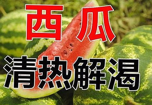 关于www.91色😍萝网站官方版免费版的最新动态与背景分析