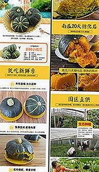 宁德市用户必看：免费视频官方版下载指南