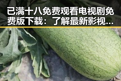已满十八免费观看电视剧免费版下载：了解最新影视资源获取途径