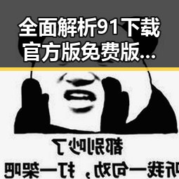 全面解析91下载官方版免费版：安全、便捷的首选