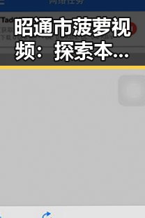 昭通市菠萝视频：探索本地特色的视频平台