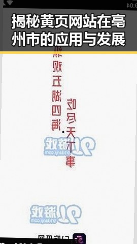 揭秘黄页网站在亳州市的应用与发展