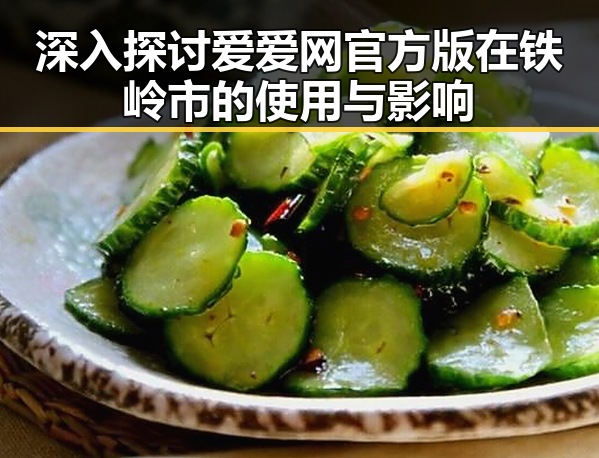 深入探讨爱爱网官方版在铁岭市的使用与影响