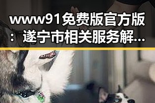www91免费版官方版:遂宁市相关服务解析与应用体验