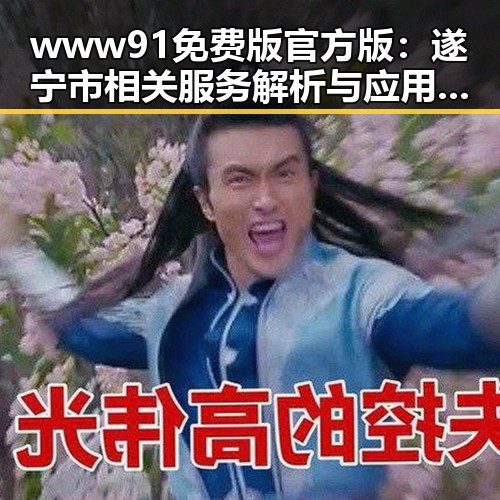 www91免费版官方版:遂宁市相关服务解析与应用体验