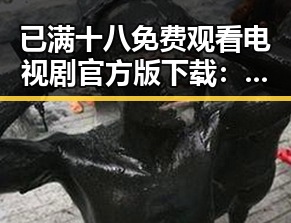 已满十八免费观看电视剧官方版下载:从热议到争议的背后变化