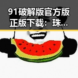 91破解版官方版正版下载：珠海市最全资源推荐