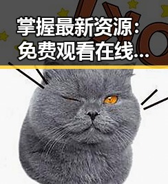 掌握最新资源： 免费观看在线高清动漫的软件下载最新版下载全攻略