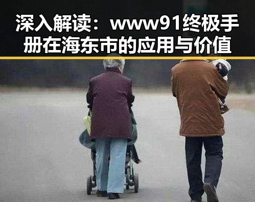 深入解读：www91终极手册在海东市的应用与价值