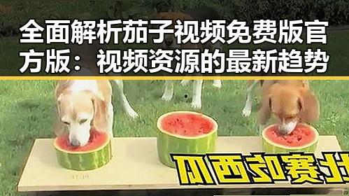 全面解析茄子视频免费版官方版：视频资源的最新趋势